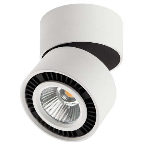 Светильник накладной заливающего света со встроенными светодиодами Forte Muro 214816