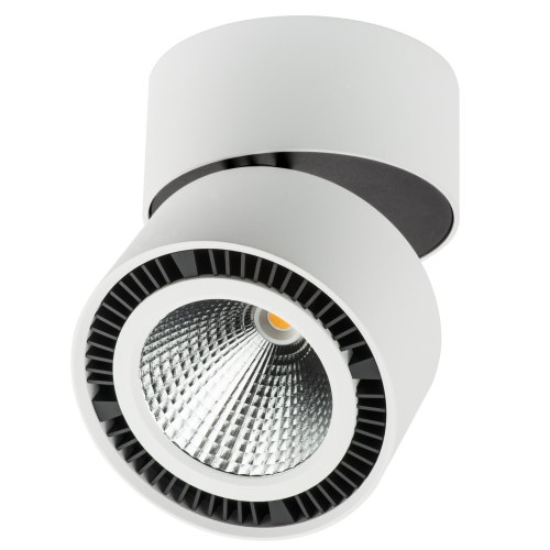 Светильник накладной заливающего света со встроенными светодиодами Forte Muro 214850