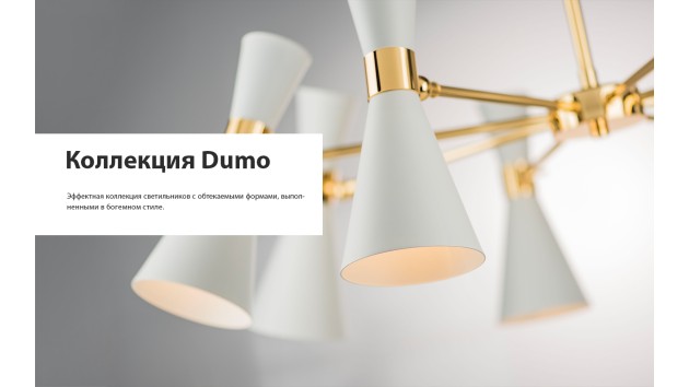 Презентация Dumo