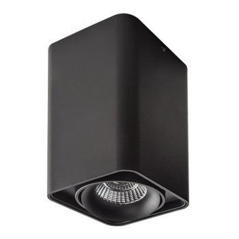 Светильник накладной со встроенными светодиодами Monocco...